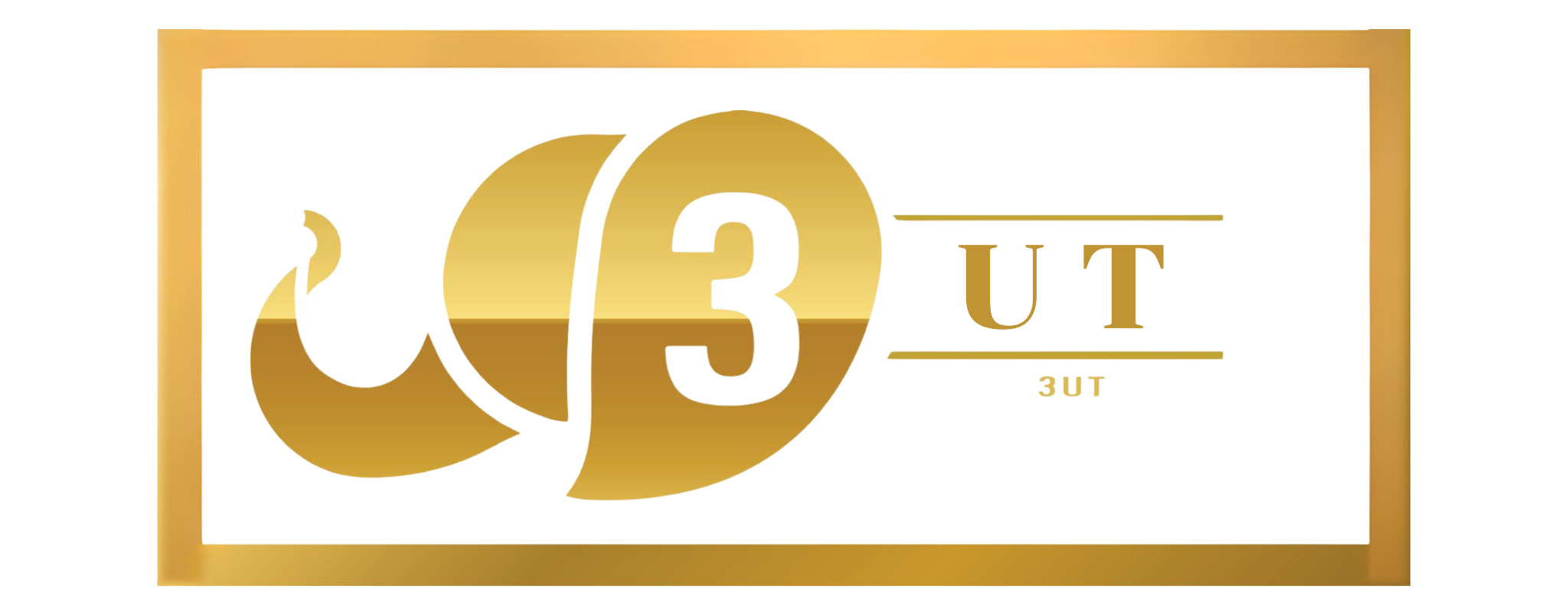 3UT