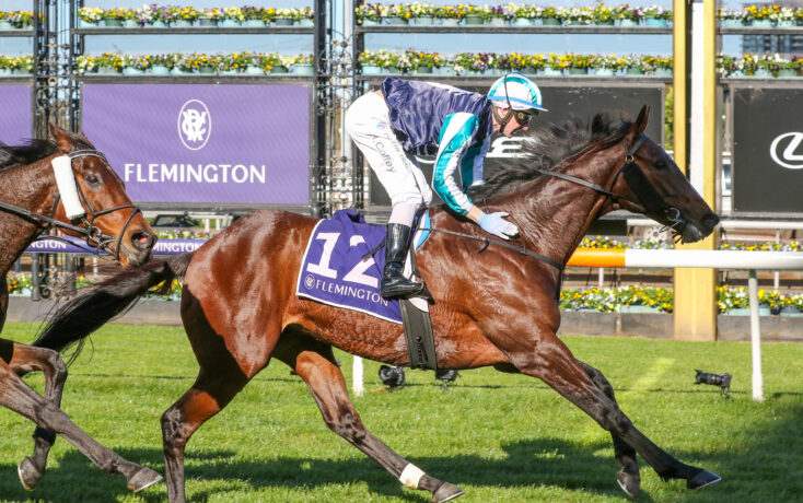 Lindsay Park chase second Flemington Cup